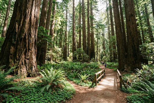 Hiking